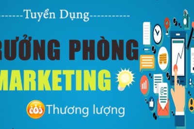 Tuyển Dụng LEADER GOOGLE ADS (Trưởng Nhóm Google Ads)